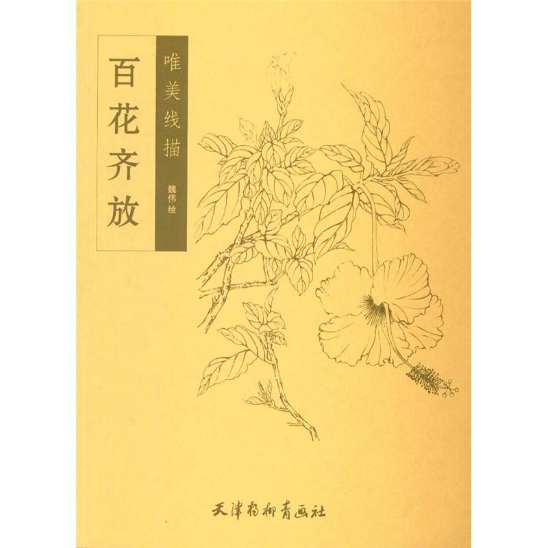 百花齐放-唯美线描