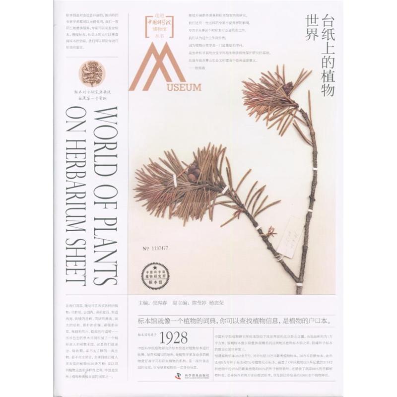 台纸上的植物世界