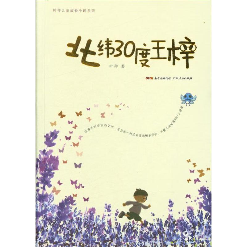 北伟30度王梓