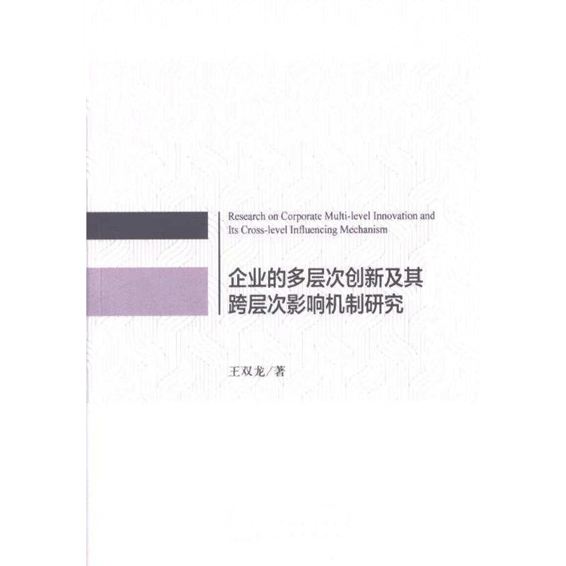 企业的多层次创新及其跨层次影响机制研究