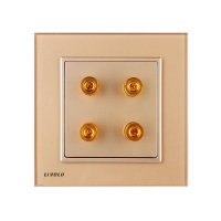 两位四孔 音响插座 超薄面板 钢化玻璃材质