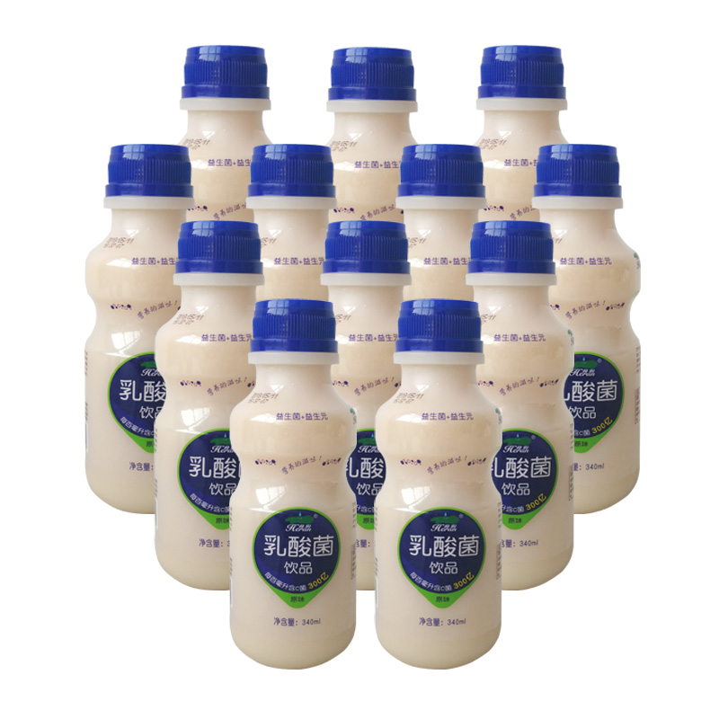 荷润 乳酸菌饮品 340ml 12瓶装 早餐奶原味饮料 聚会酒席饮品