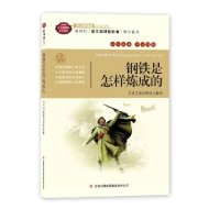 正版钢铁是怎样炼成的 全译本 原版原著中文版 世界经典文学名著畅销小说 奥斯特洛夫斯基中小学学生新课标互动阅读必读丛书
