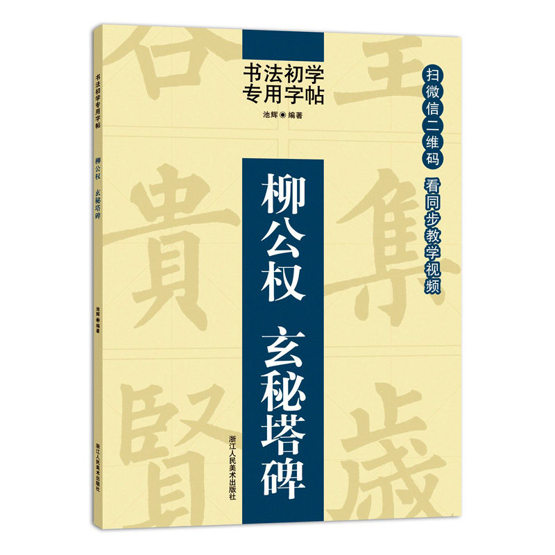 柳公权玄秘塔碑 同步视频教学 书法初学者专用字帖 柳公权楷书教程 毛笔碑帖练字入门中国书法培训教材书 楷书书写技法学习书