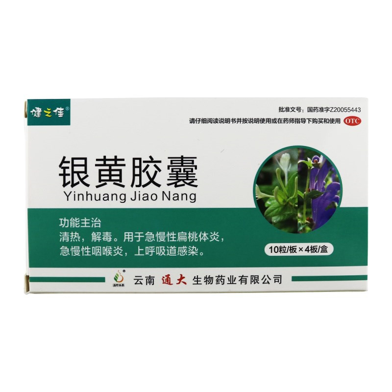 40粒]健之佳银黄胶囊0.3克*10粒*4板 清热解毒 扁桃体炎 云南通大