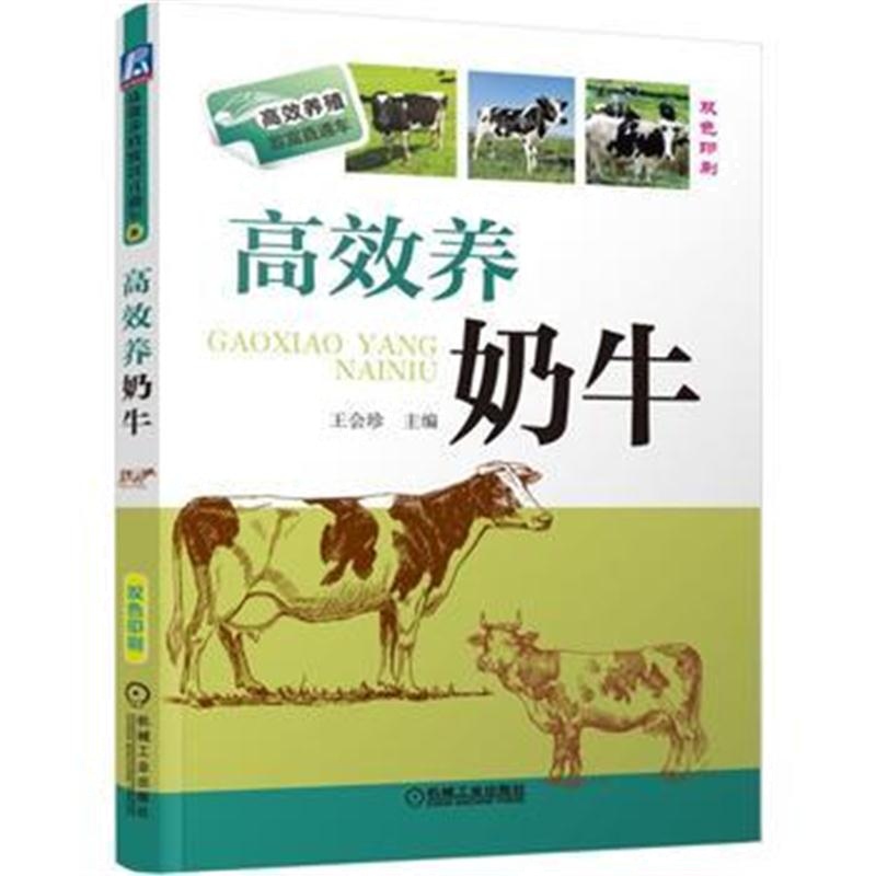 全新正版 高效养奶牛