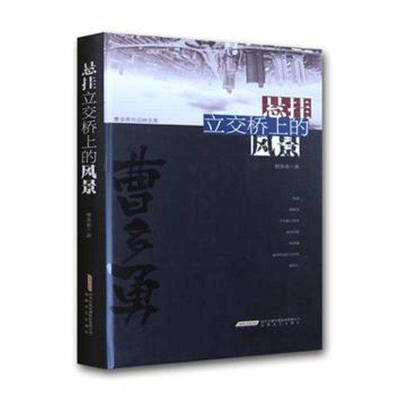 全新正版 悬挂立交桥上的风景