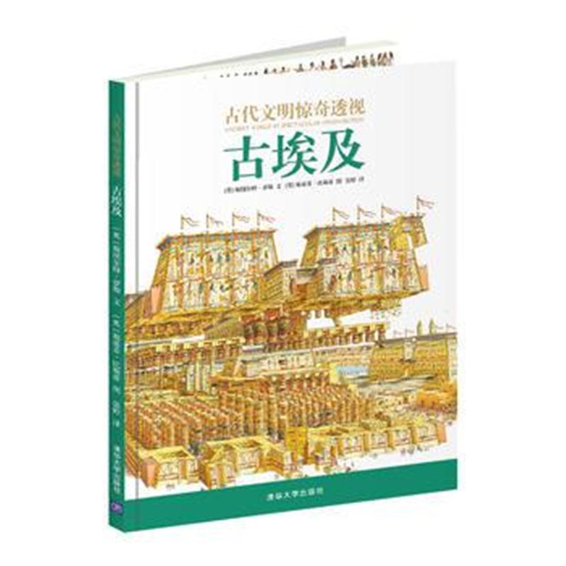 全新正版 古代文明惊奇透视：古埃及