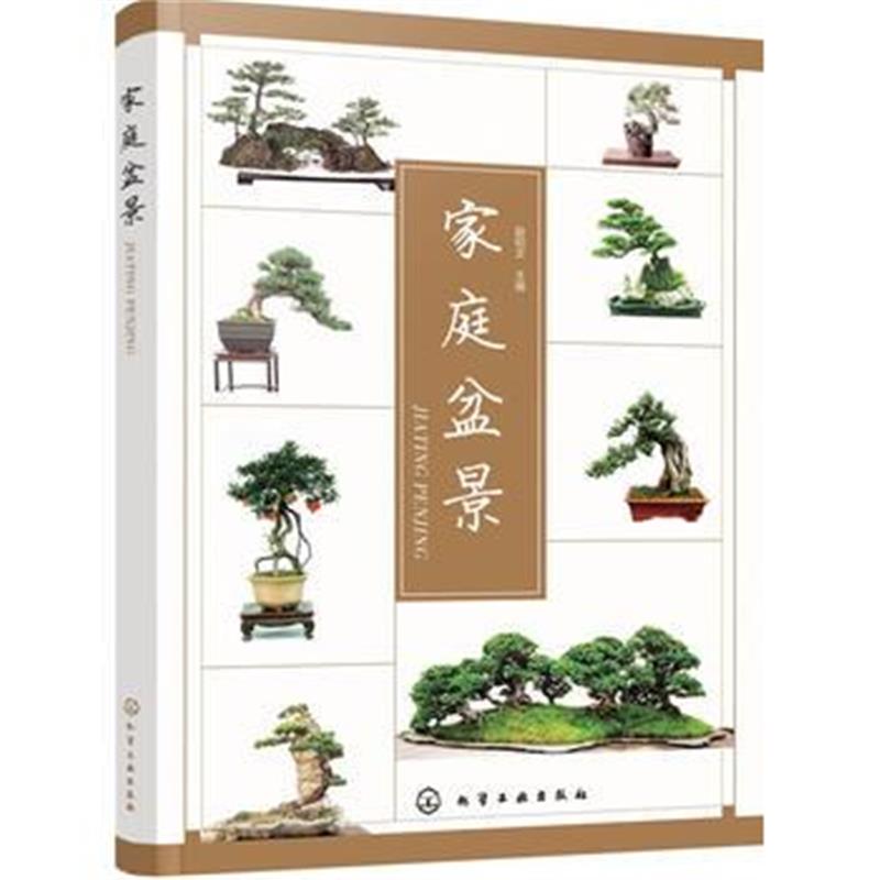 全新正版 家庭盆景