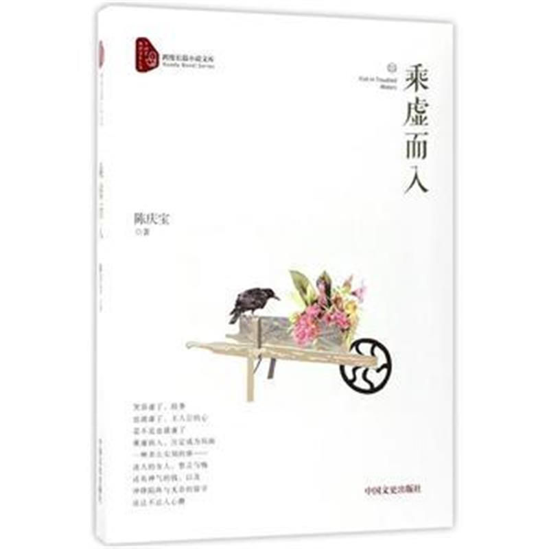 全新正版 乘虚而入(跨度长篇小说文库)