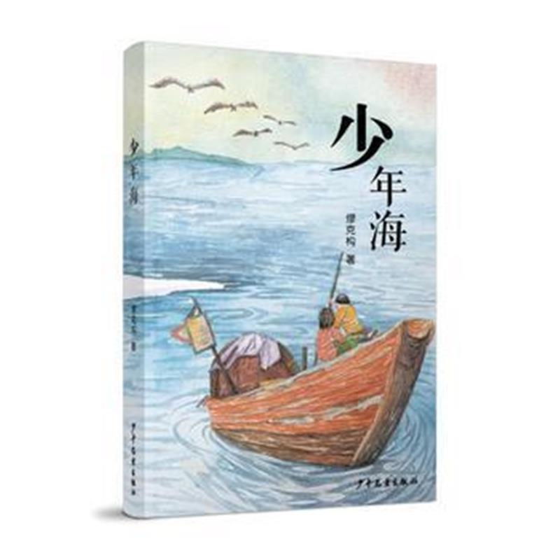 全新正版 少年海