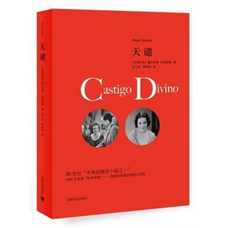全新正版 天谴