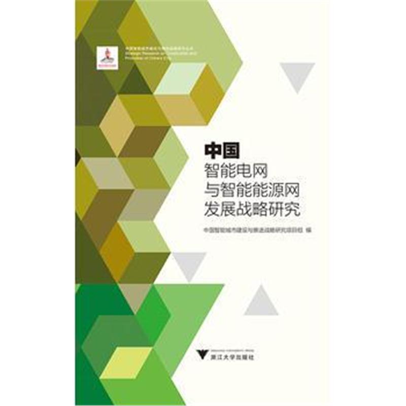 全新正版 中国智能电网与智能能源网发展战略研究 中国智能城市建设与推进