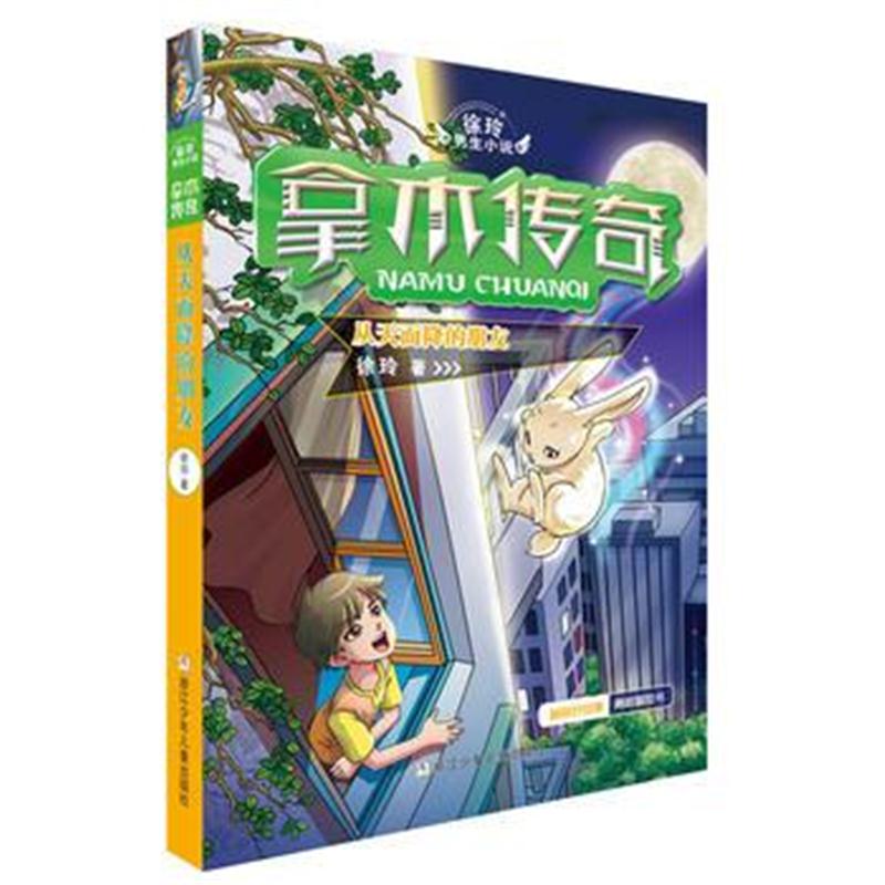 全新正版 徐玲男生小说 拿木传奇：从天而降的朋友