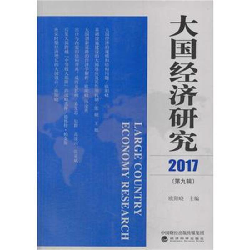 全新正版 大国经济研究 2017 (第九辑)