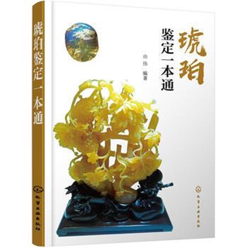 全新正版 琥珀鉴定一本通