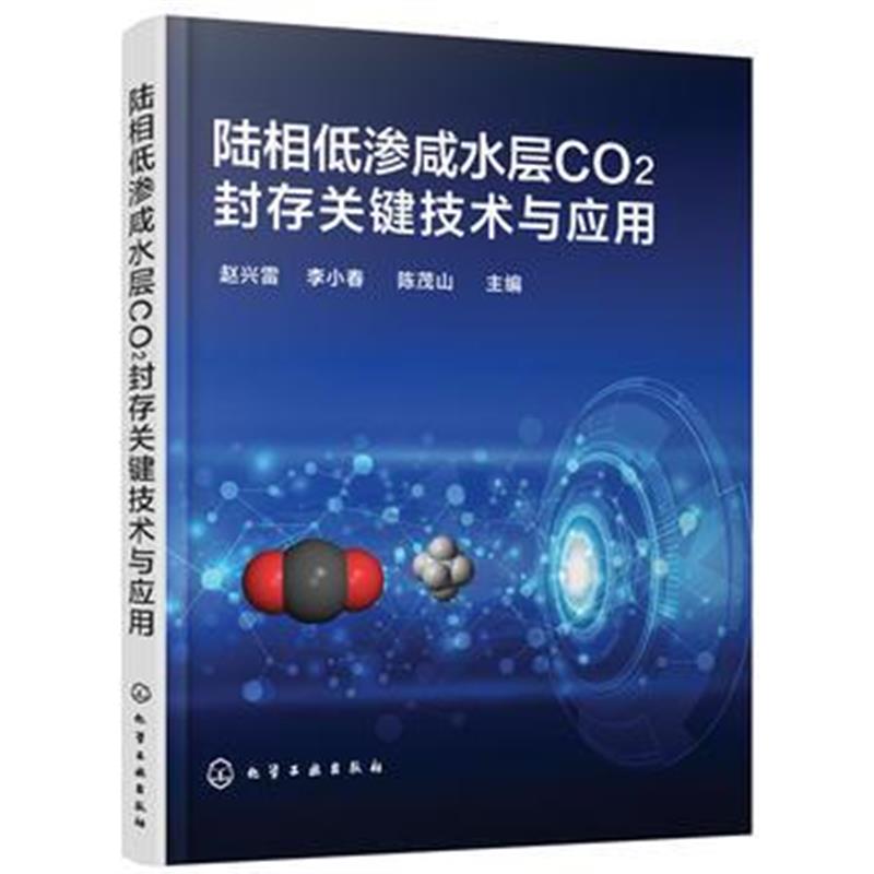 全新正版 陆相低渗咸水层CO2封存关键技术与应用