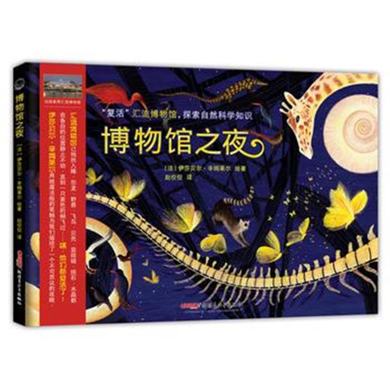 全新正版 博物馆之夜