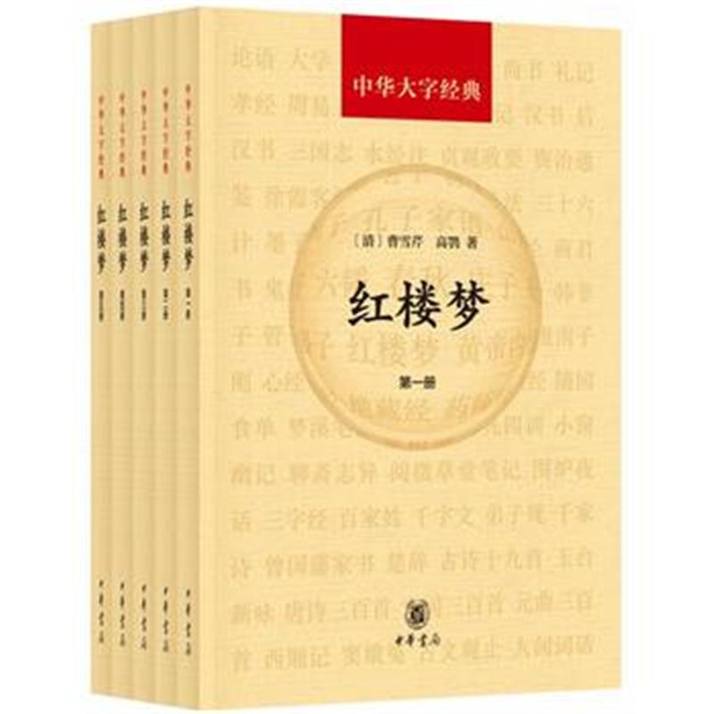 全新正版 红楼梦(共5册 中华大字经典)