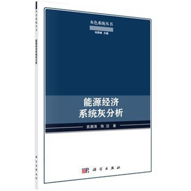 全新正版 能源经济系统灰分析