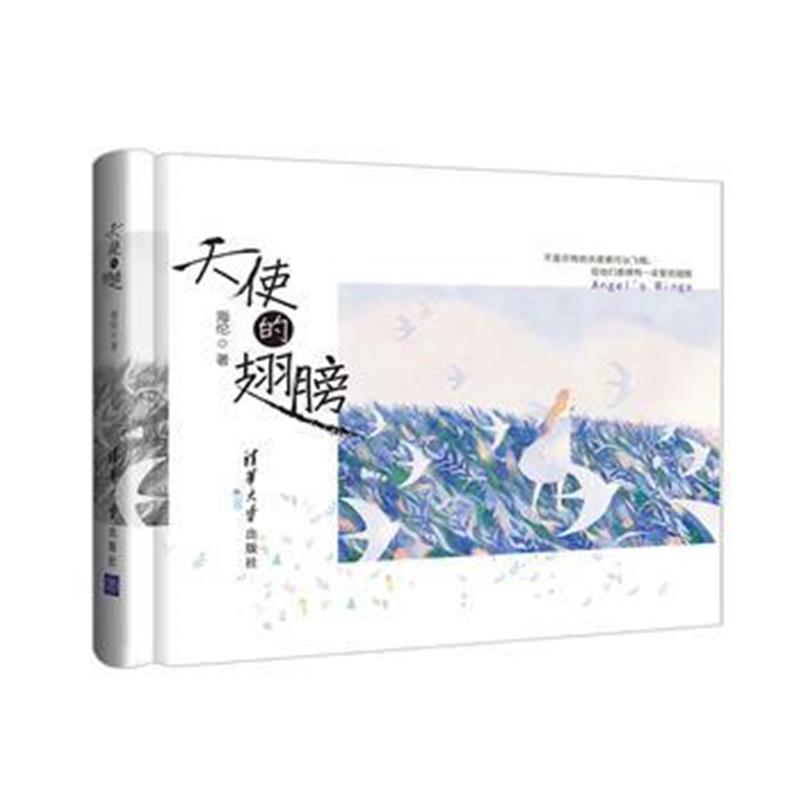 全新正版 天使的翅膀