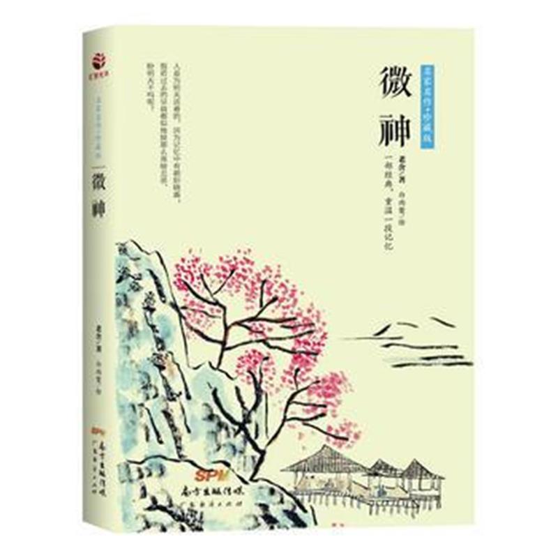 全新正版 微神