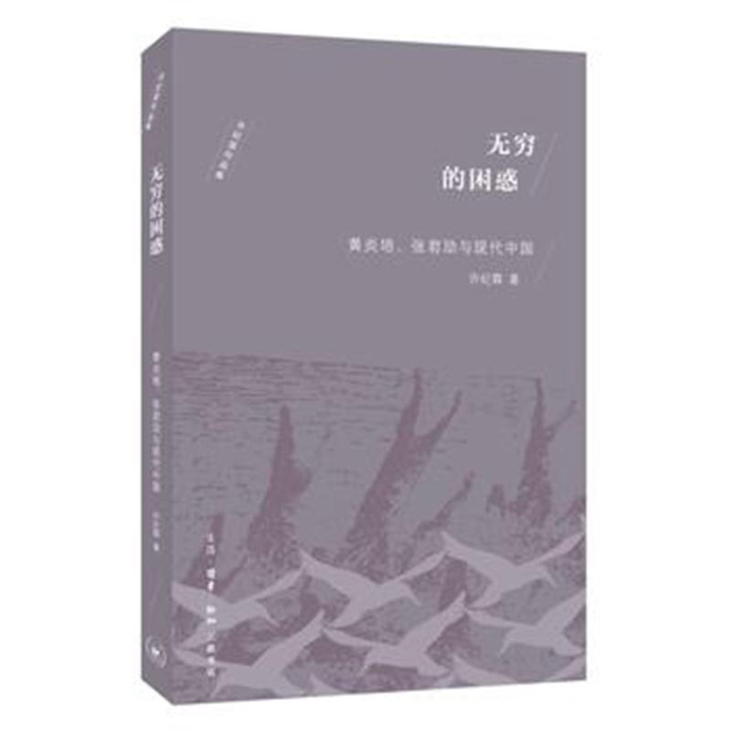 全新正版 无穷的困惑