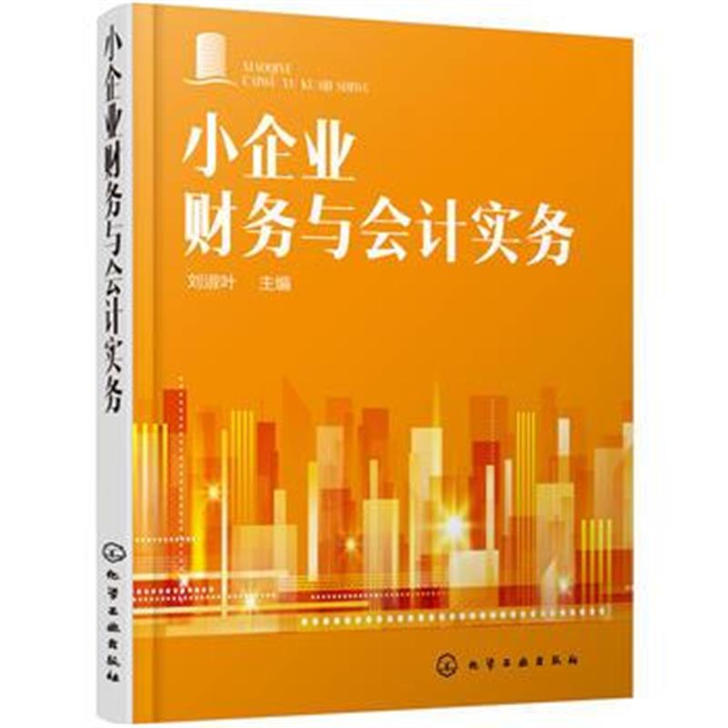 全新正版 小企业财务与会计实务