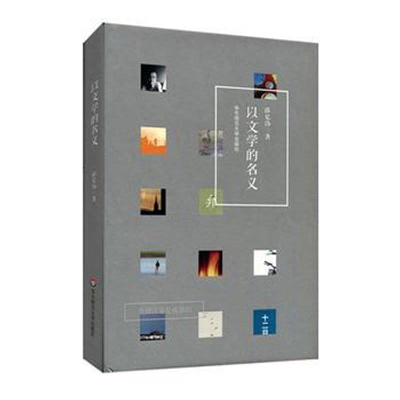 全新正版 以文学的名义