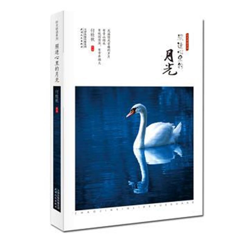 全新正版 照进心里的月光
