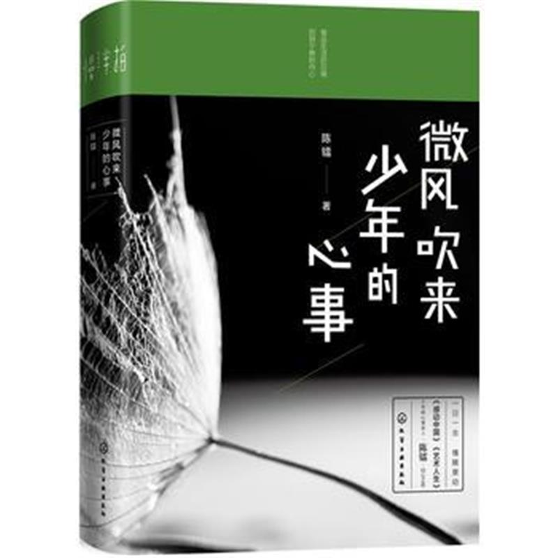 全新正版 微风吹来少年的心事