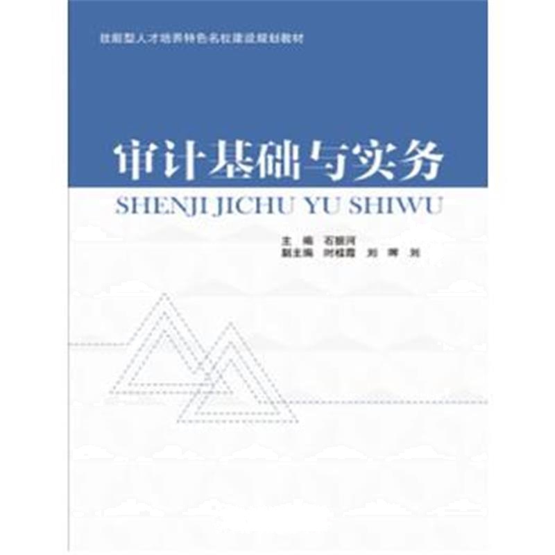 全新正版 审计基础与实务(技能型人才培养特色名校建设规划教材)