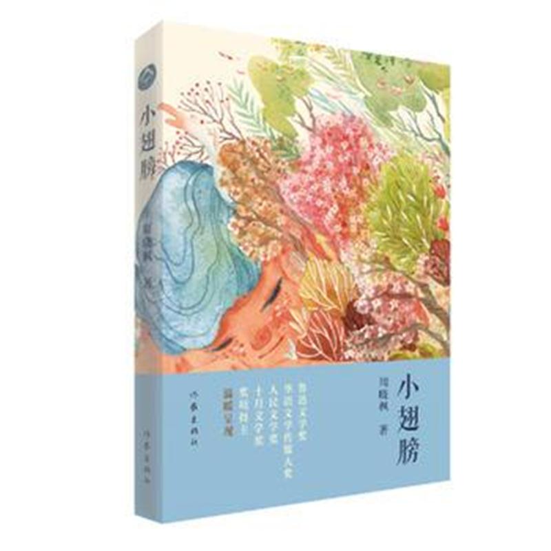 全新正版 小翅膀(愿夜晚的孩子不再怕黑)