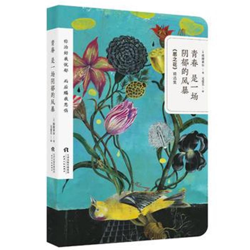 全新正版 青春是一场阴郁的风暴
