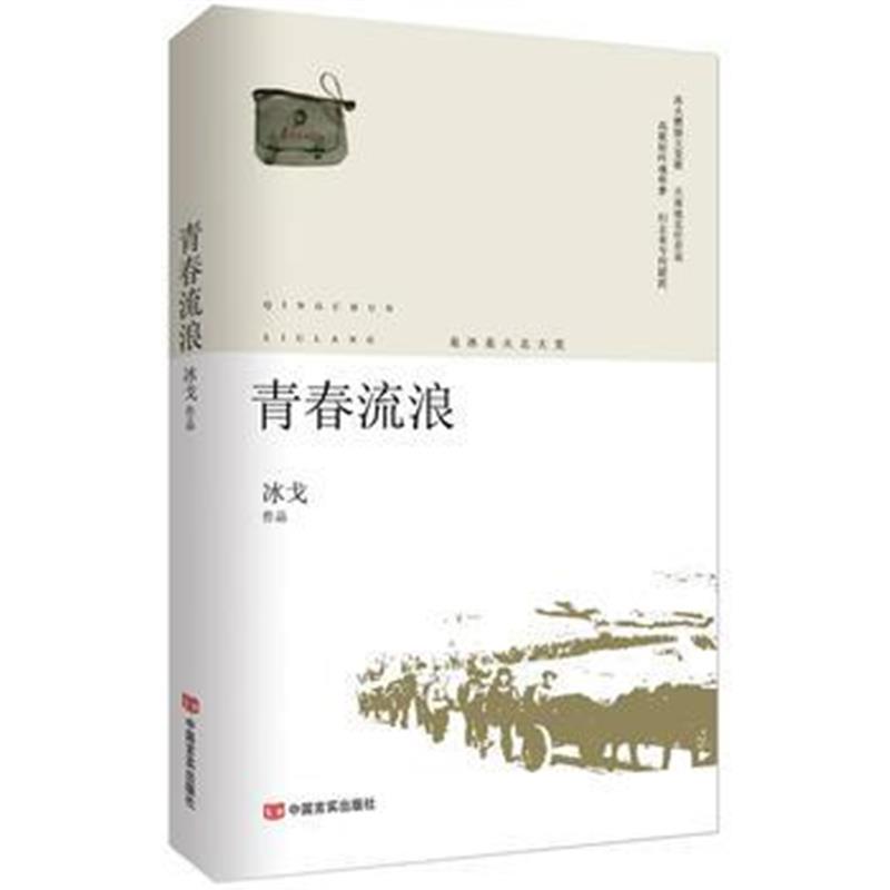 全新正版 青春流浪