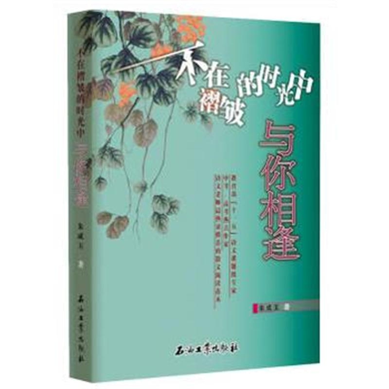 全新正版 不在褶皱的时光中与你相逢