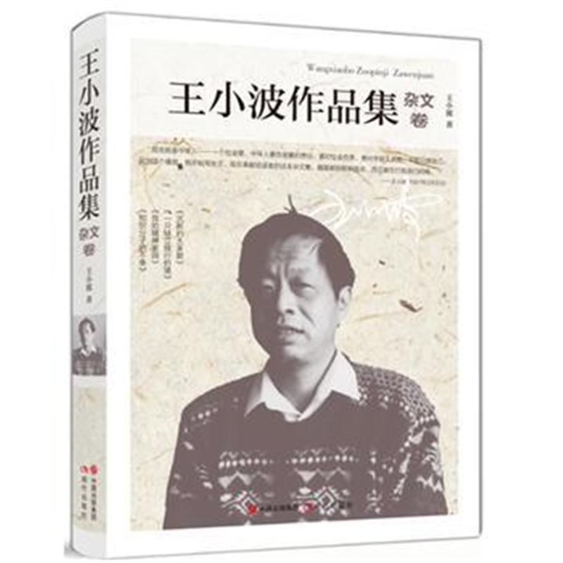 全新正版 王小波作品集-杂文卷