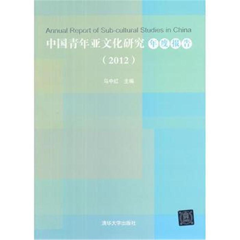 全新正版 中国青年亚文化研究年度报告(2012)