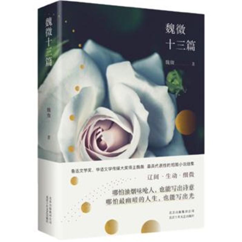 全新正版 魏微十三篇