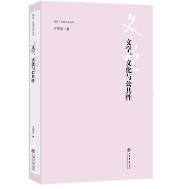 全新正版 文学、文化与公共性(同济 汉语文学丛书)