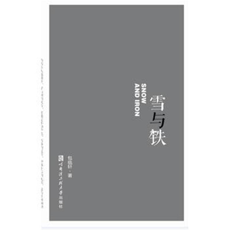 全新正版 雪与铁(九九诗丛)