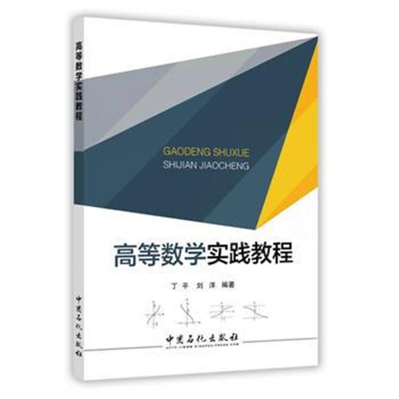 全新正版 高等数学实践教程