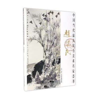 中国当代实力美术名家荟萃:赵建民 9787514010374