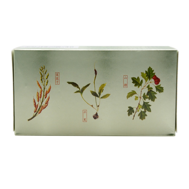 仲景 保和丸 300丸