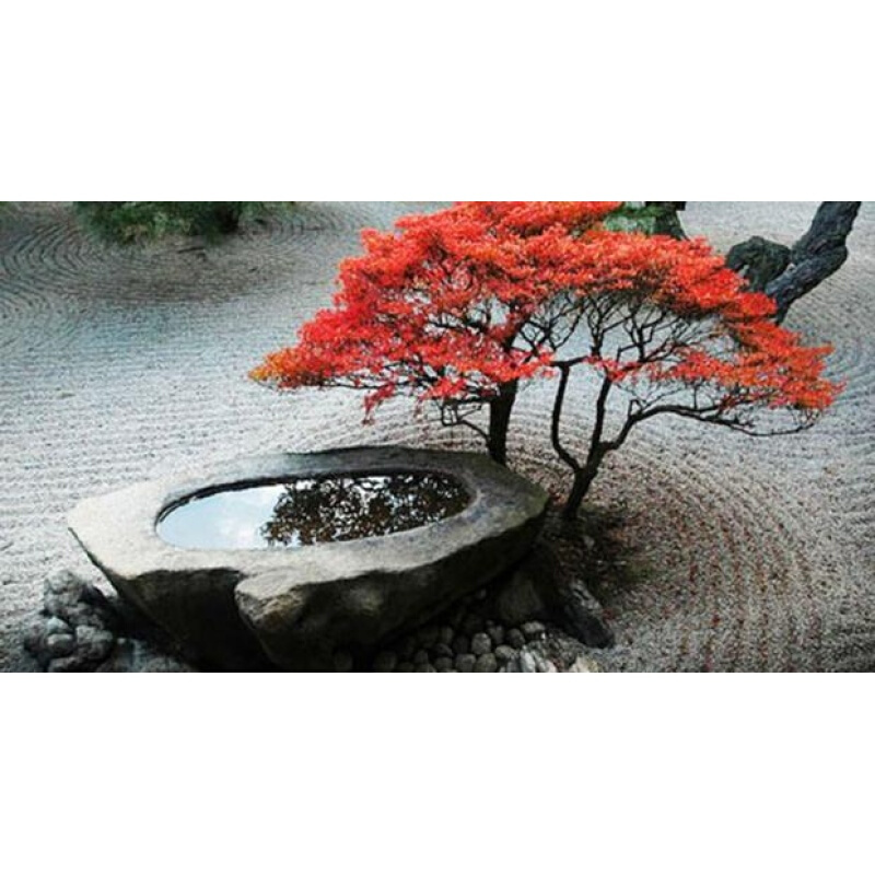 洋子(YangZi)户外庭园石雕老石槽自然面石钵石盆鱼缸水景鱼池花盆园林装饰
