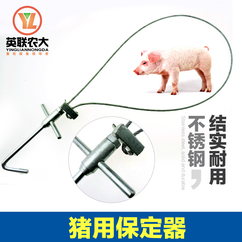 洋子(YangZi)不锈钢猪用保定器全金属钢丝绑定器猪套子 畜牧养猪设备用品器械