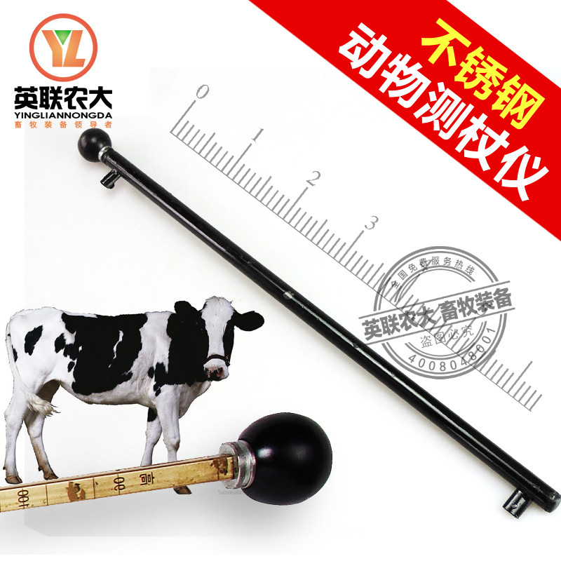 洋子(YangZi)动物测杖仪器 羊测仗 牛测仗 测量牛羊身高 测仗仪 不锈钢测杖