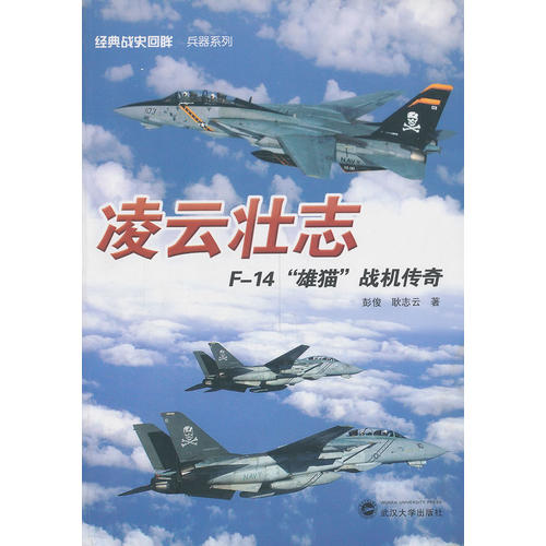 凌云壮志——F-14“雄猫”战机传奇