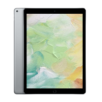 Apple iPad Pro 12.9英寸 平板电脑256G WiFi 深空灰)