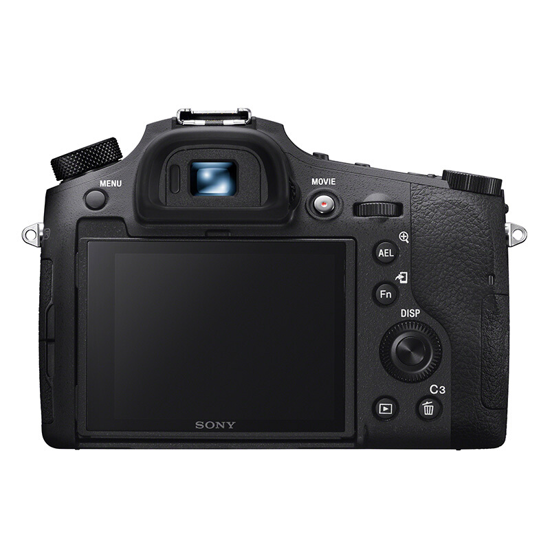 索尼（SONY）黑卡超长焦数码相机24mm-600mF2.4-F4蔡斯镜头 RX10 IV 黑色 【预售产品】